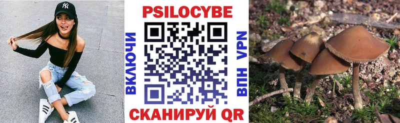 Псилоцибиновые грибы Psilocybine cubensis  MEGA ТОР  Тайшет 