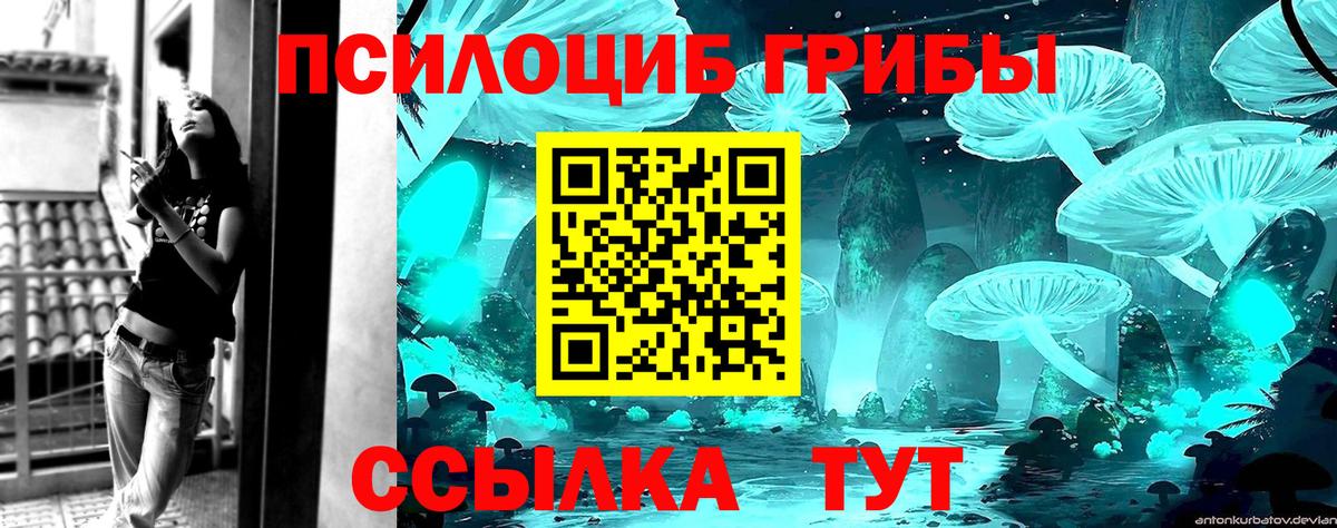 Псилоцибиновые грибы прущие грибы Тайшет