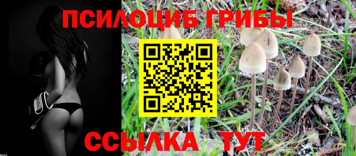 Галлюциногенные грибы мухоморы  Вход с VPN  Тайшет 